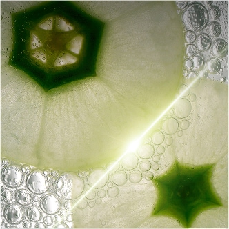 Shop hair care products